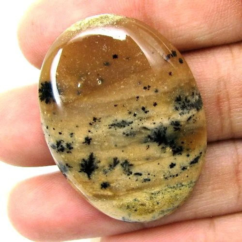 Selected 299Ct 5pc Wholesale lot Natural Picture Jasper Cabochon Gemstone - Image 3